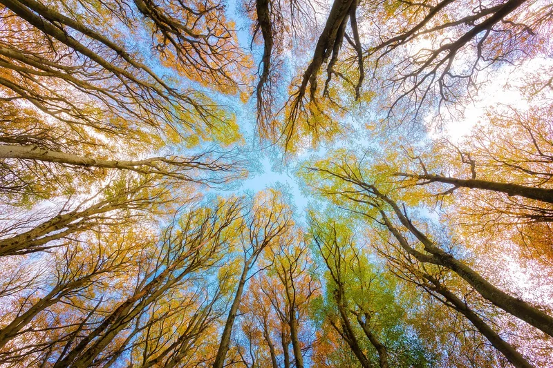 Quatrième étape : analysez l'environnement — le fameux PESTEL